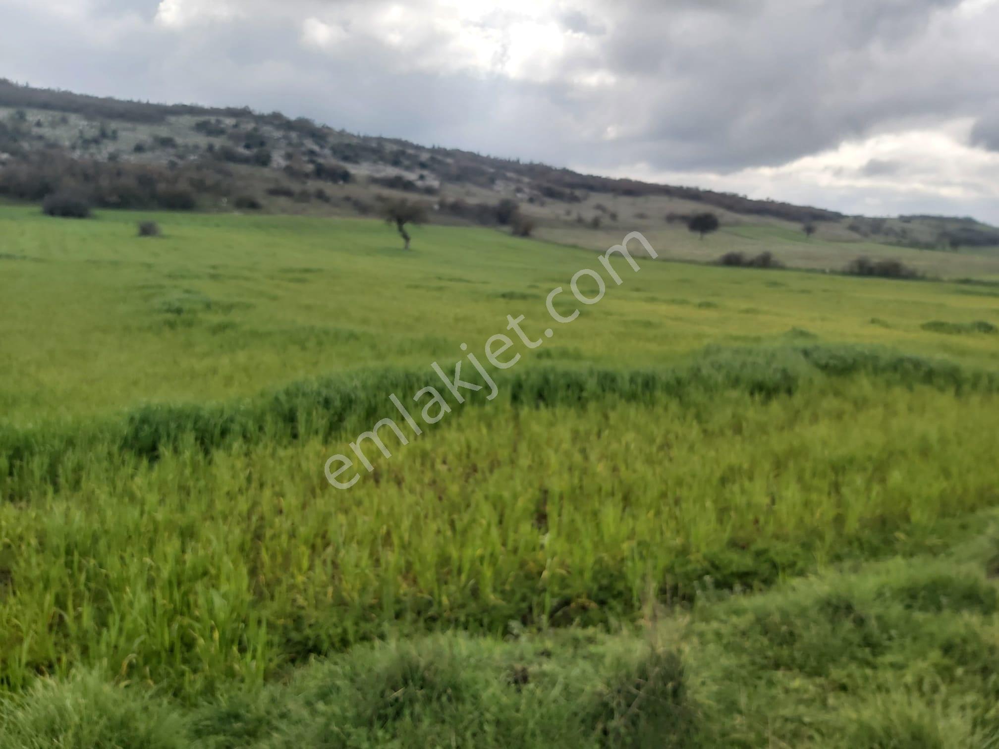 Balıkesir Karesi Aktarma Mahallesi 13.003 M2 Satılık Tarla - Görsel 18