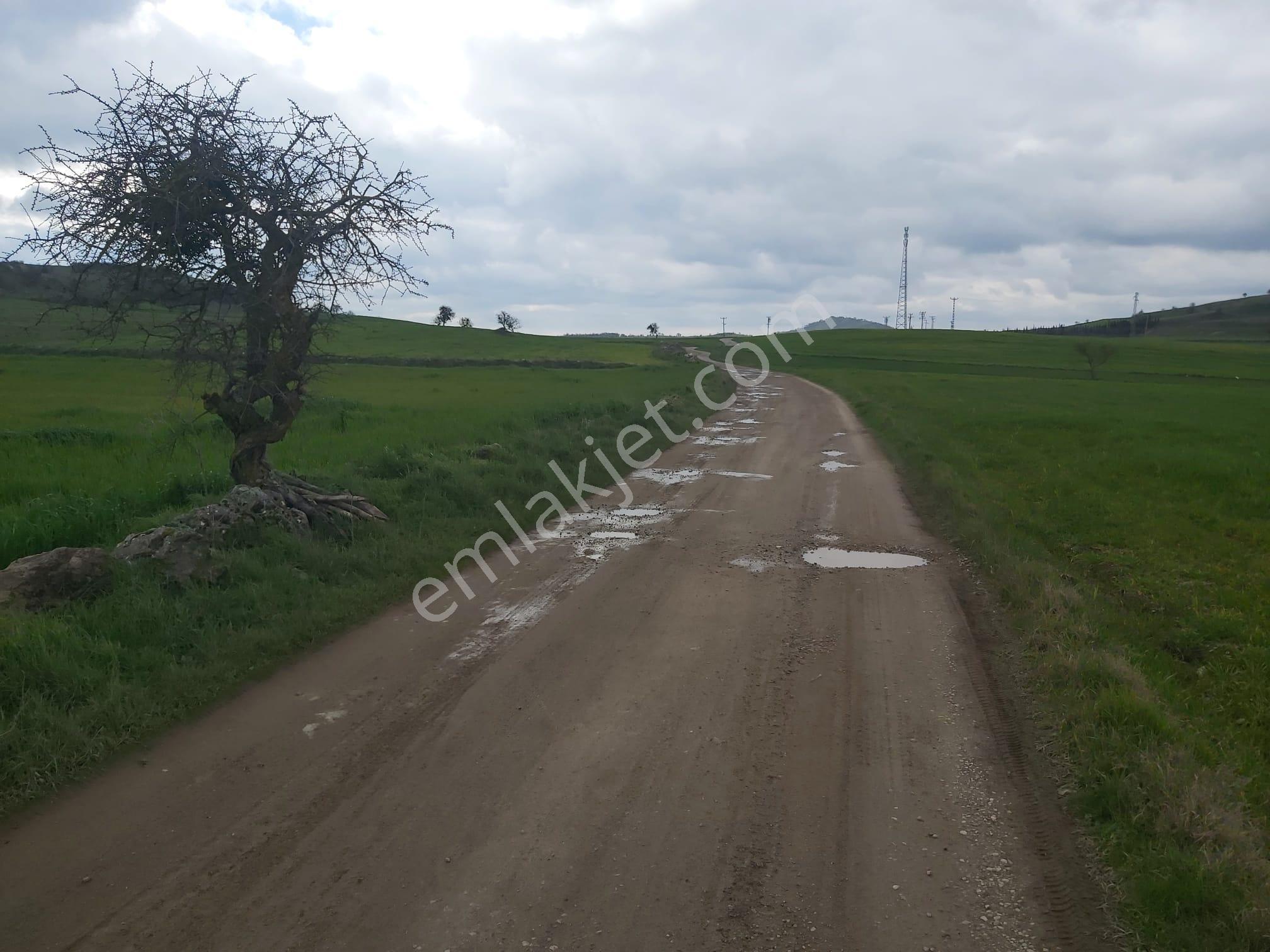 Balıkesir Karesi Aktarma Mahallesi 13.003 M2 Satılık Tarla - Görsel 11