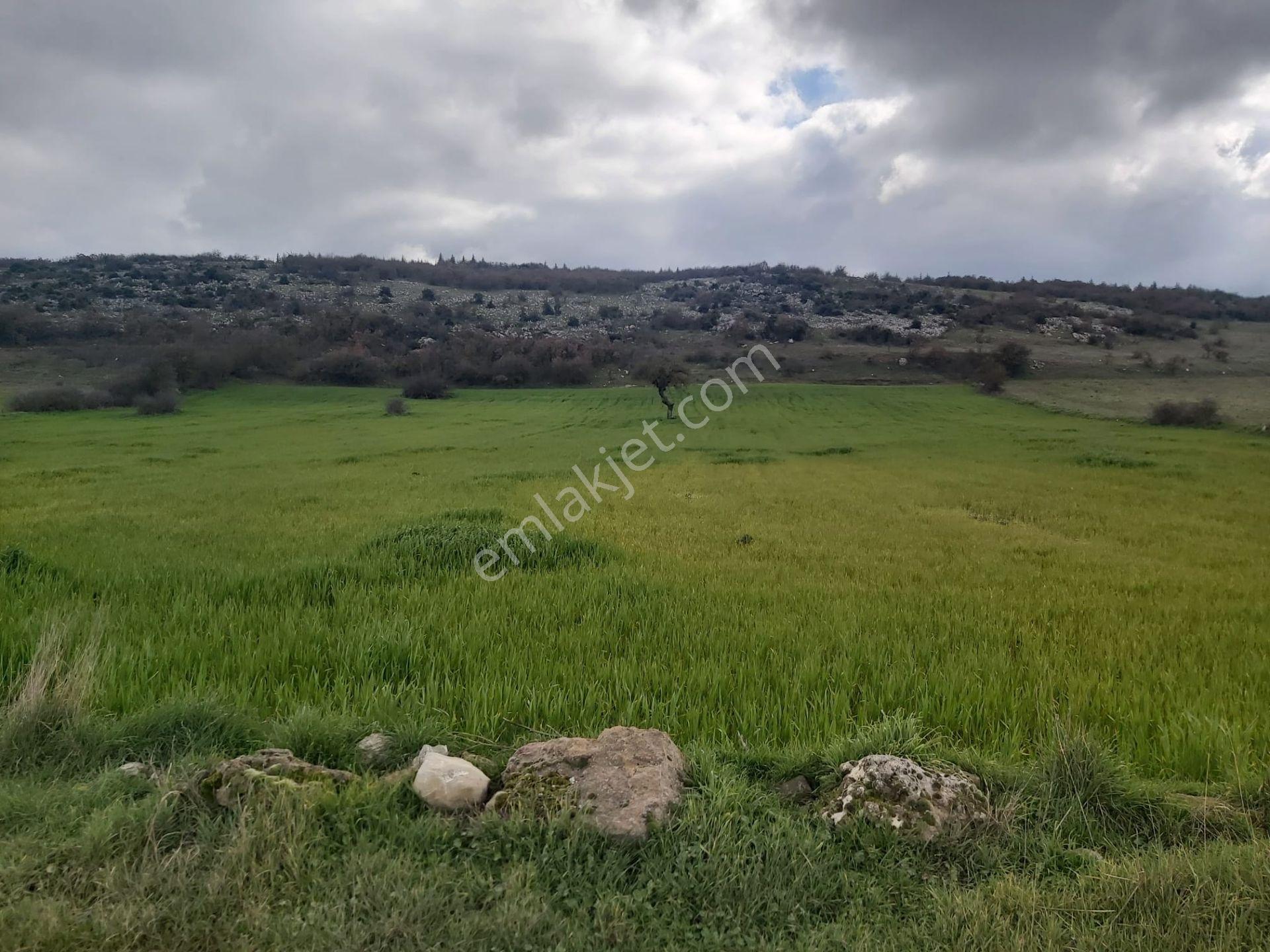 Balıkesir Karesi Aktarma Mahallesi 13.003 M2 Satılık Tarla - Görsel 12