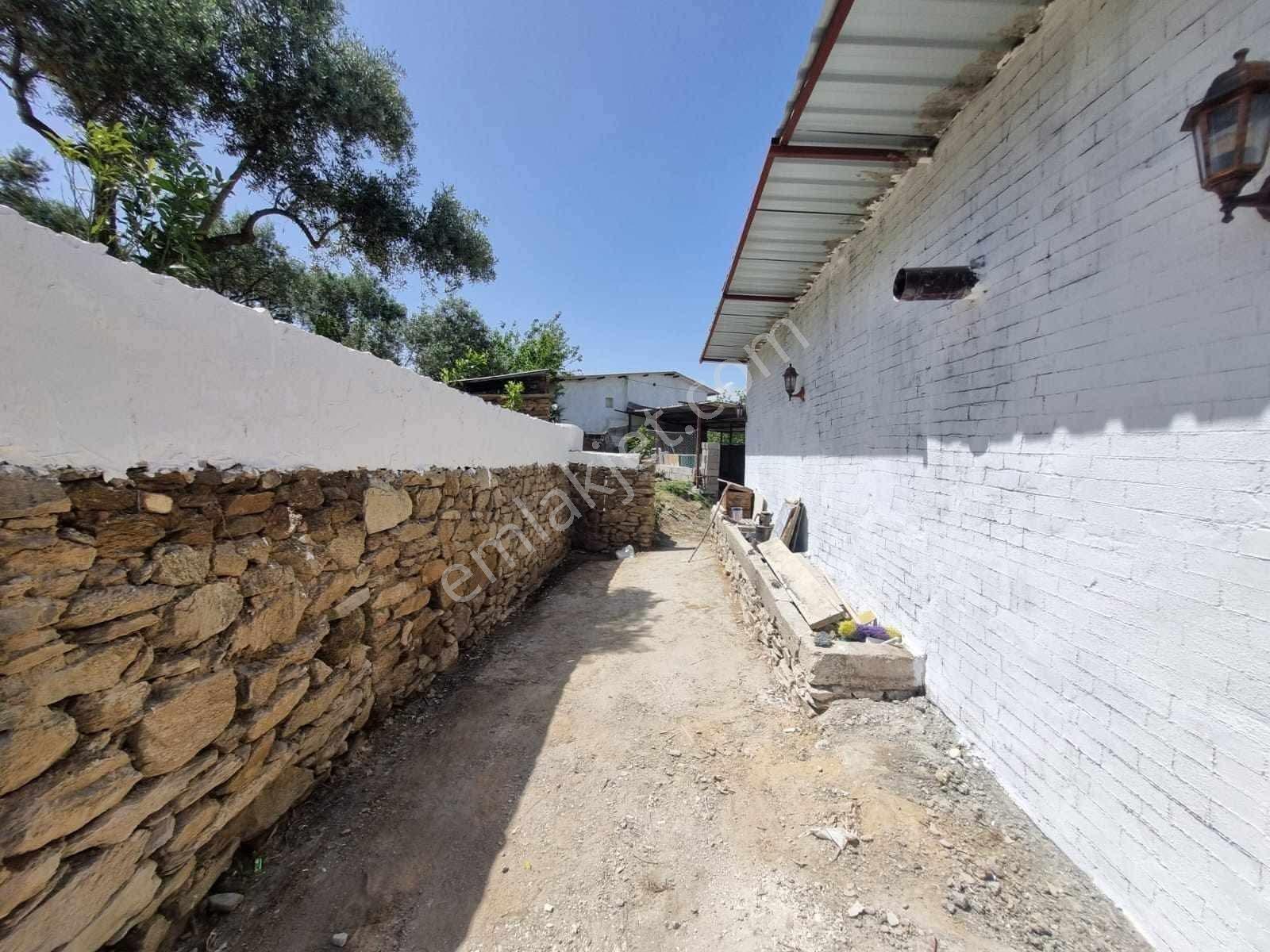 Aydın Yenipazar’da Doğayla İç İçe Satılık Köy Evi - Görsel 6
