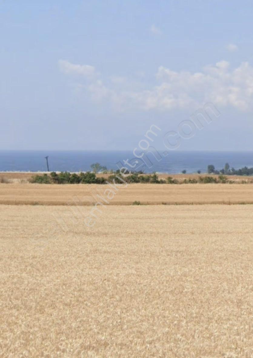Tekirdağ Karaevli Denize Yürüme Mesafesinde Net 185m2 Arsa