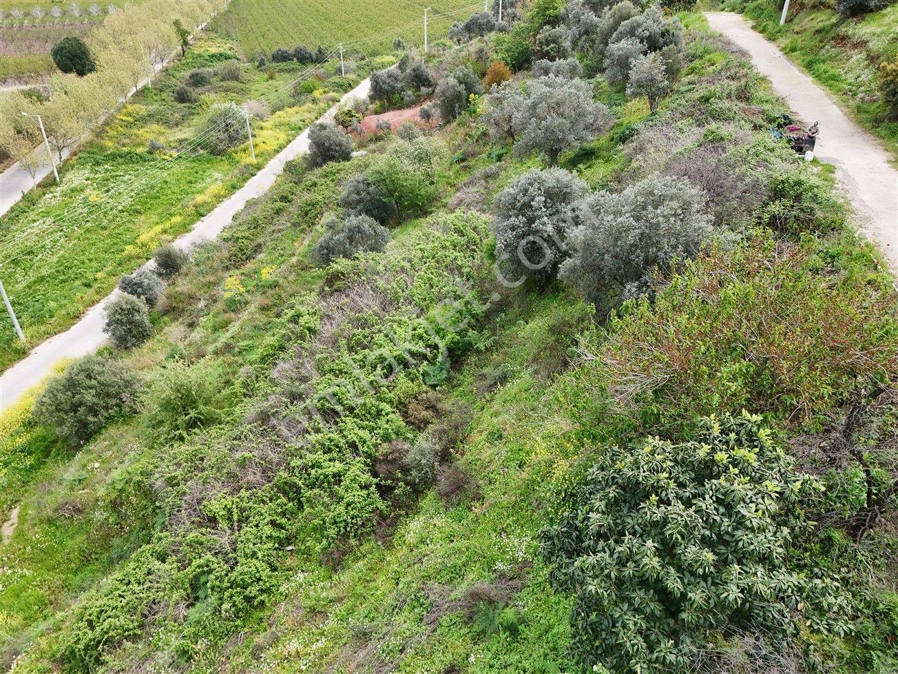 Turyap'tan Selçuk Belevi'de 359m² İmarlı Satılık Arsa - Görsel 11