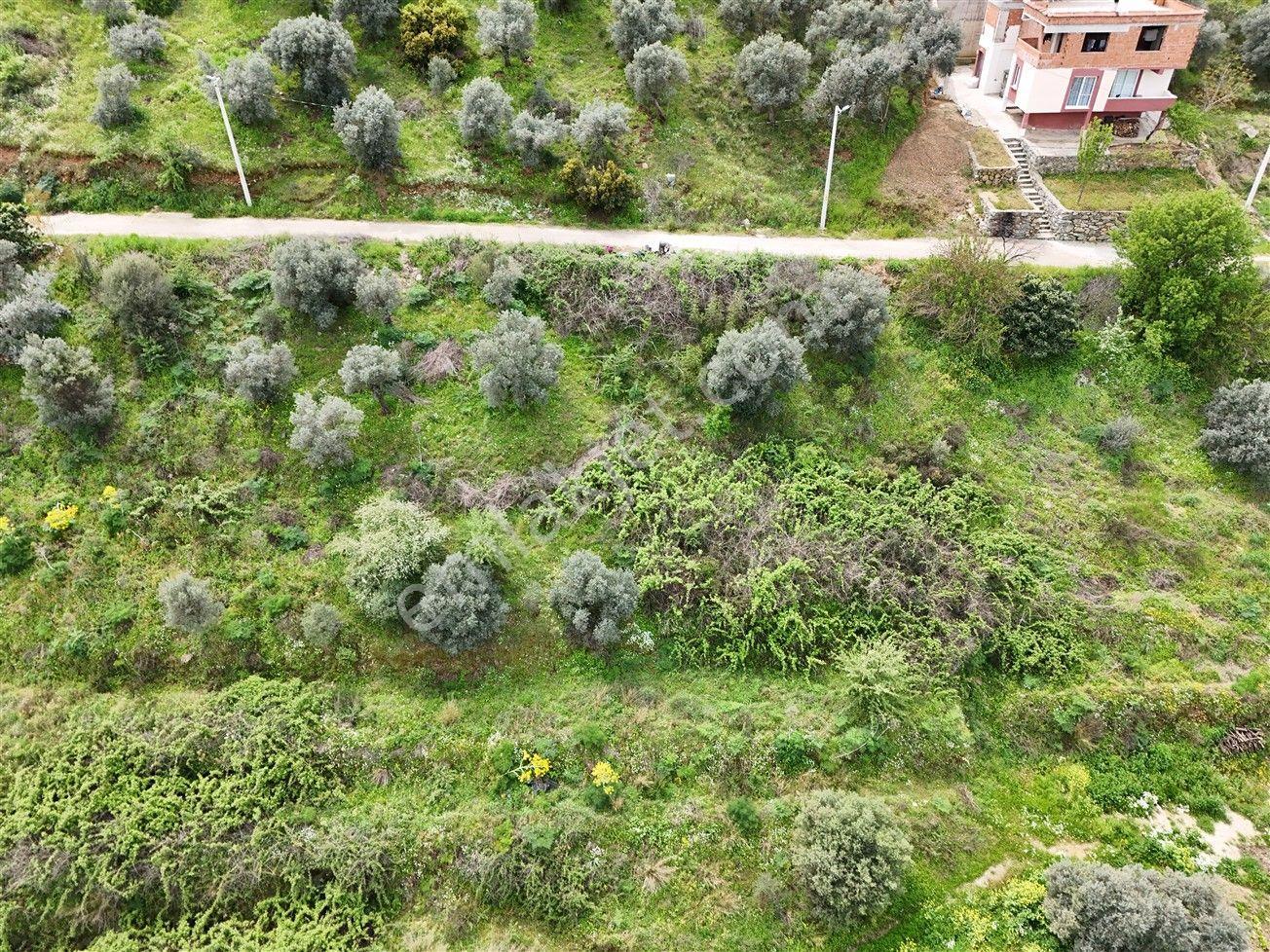 Turyap'tan Selçuk Belevi'de 359m² İmarlı Satılık Arsa - Görsel 12
