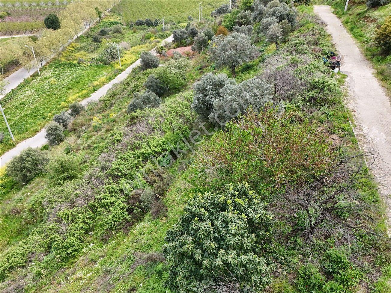 Turyap'tan Selçuk Belevi'de 359m² İmarlı Satılık Arsa - Görsel 22