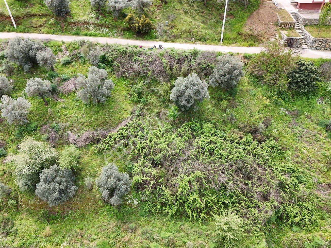 Turyap'tan Selçuk Belevi'de 359m² İmarlı Satılık Arsa - Görsel 13