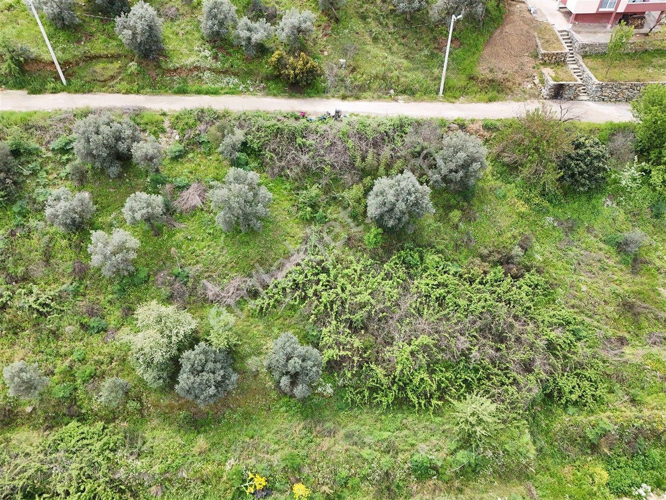Turyap'tan Selçuk Belevi'de 359m² İmarlı Satılık Arsa - Görsel 21