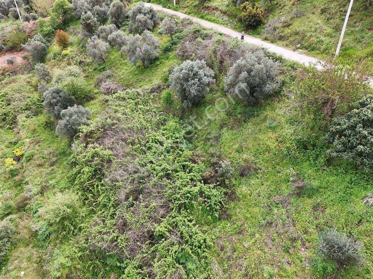 Turyap'tan Selçuk Belevi'de 359m² İmarlı Satılık Arsa - Görsel 7