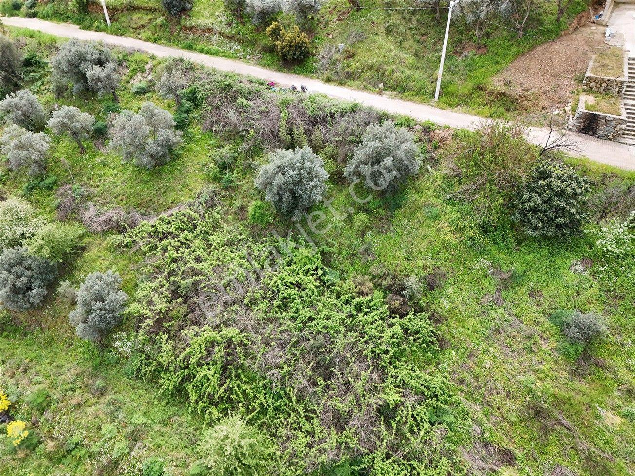 Turyap'tan Selçuk Belevi'de 359m² İmarlı Satılık Arsa - Görsel 6