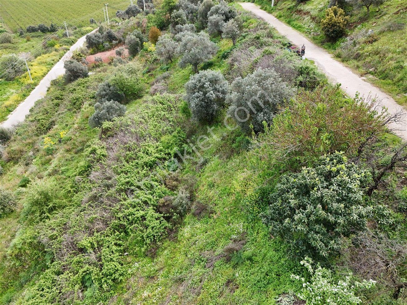 Turyap'tan Selçuk Belevi'de 359m² İmarlı Satılık Arsa - Görsel 15