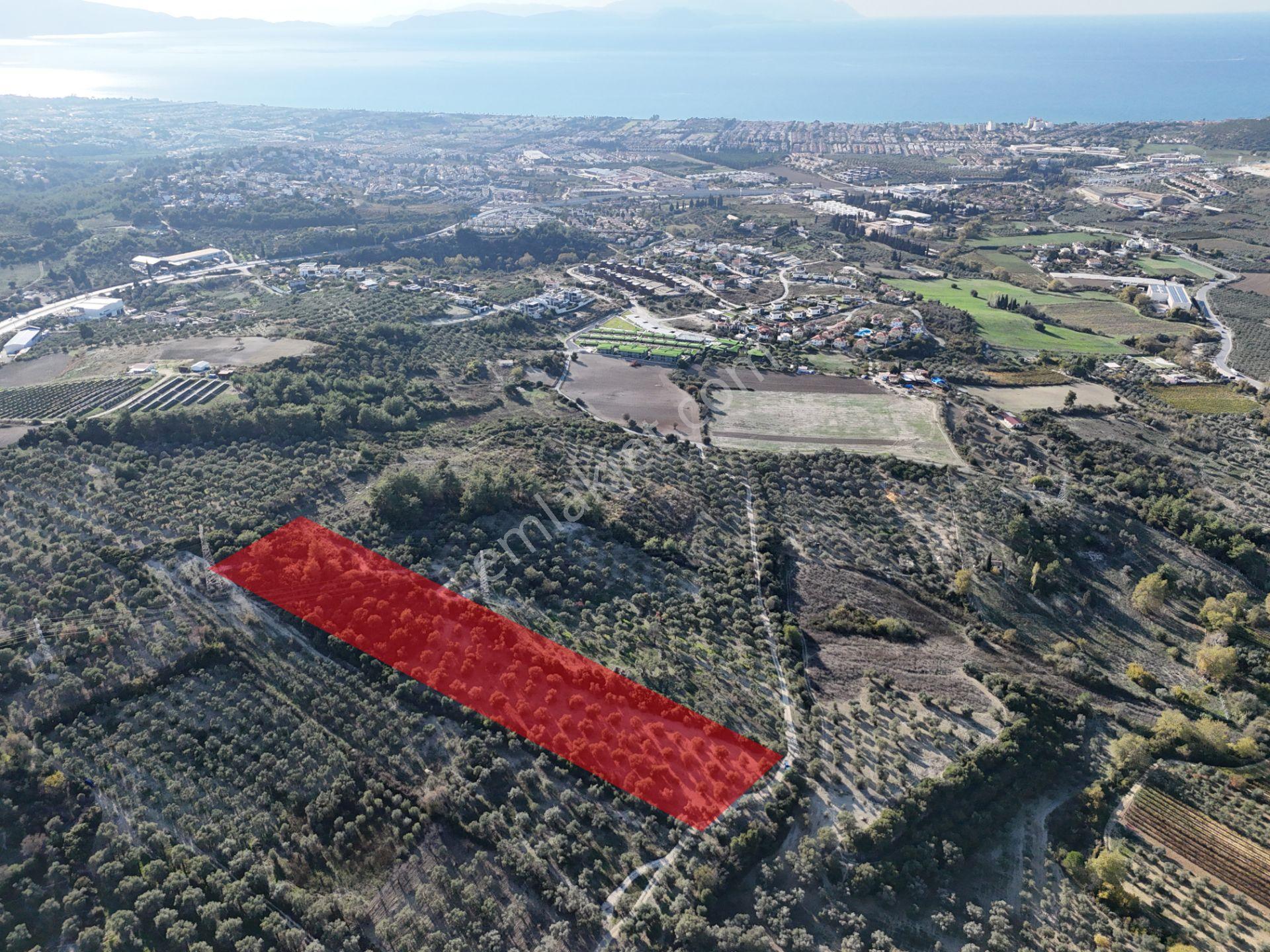 Kuşadası,kırazlı Mahallesı'nde,merkeze Yakın Tarla - Görsel 9