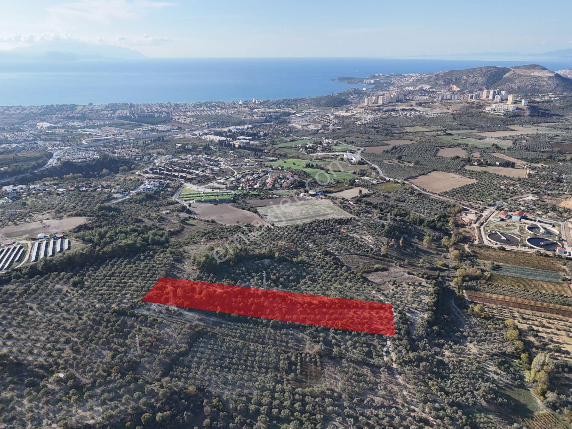 Kuşadası,kırazlı Mahallesı'nde,merkeze Yakın Tarla - Görsel 6