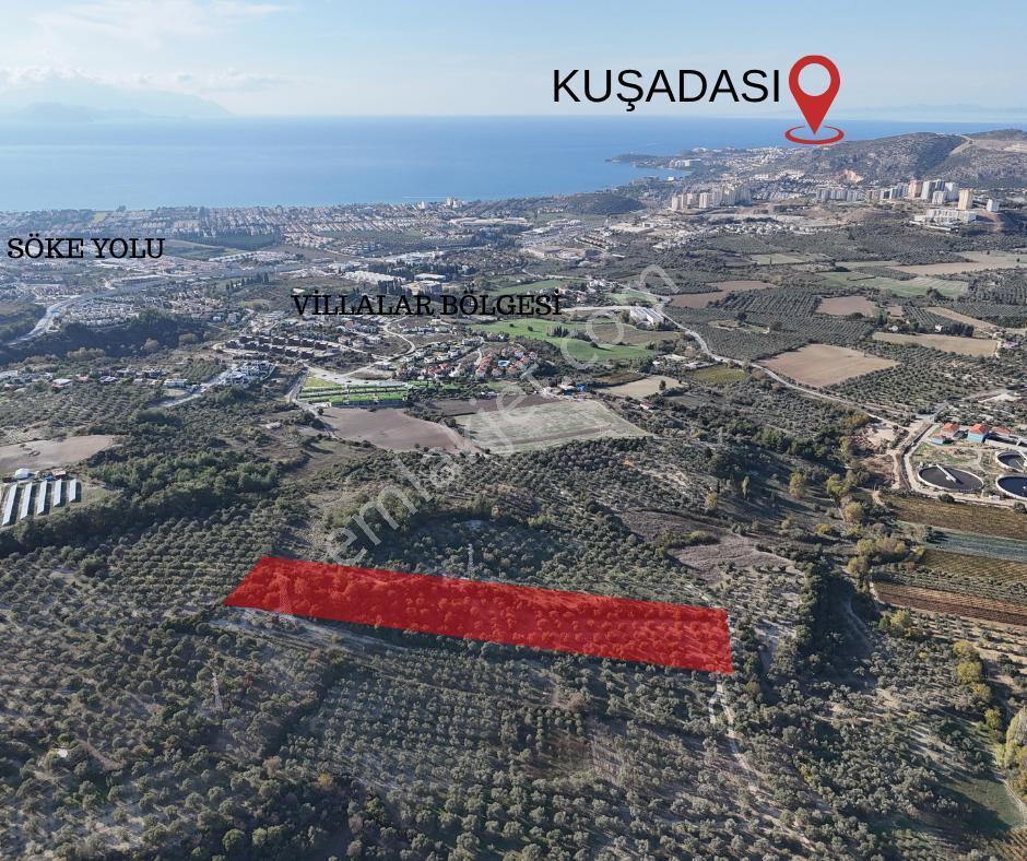 Kuşadası,kırazlı Mahallesı'nde,merkeze Yakın Tarla
