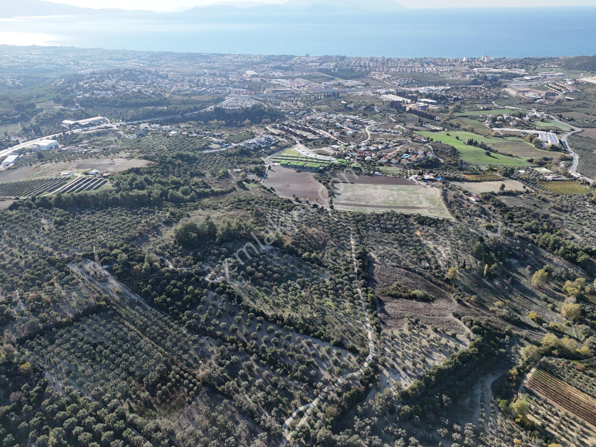 Kuşadası,kırazlı Mahallesı'nde,merkeze Yakın Tarla - Görsel 14