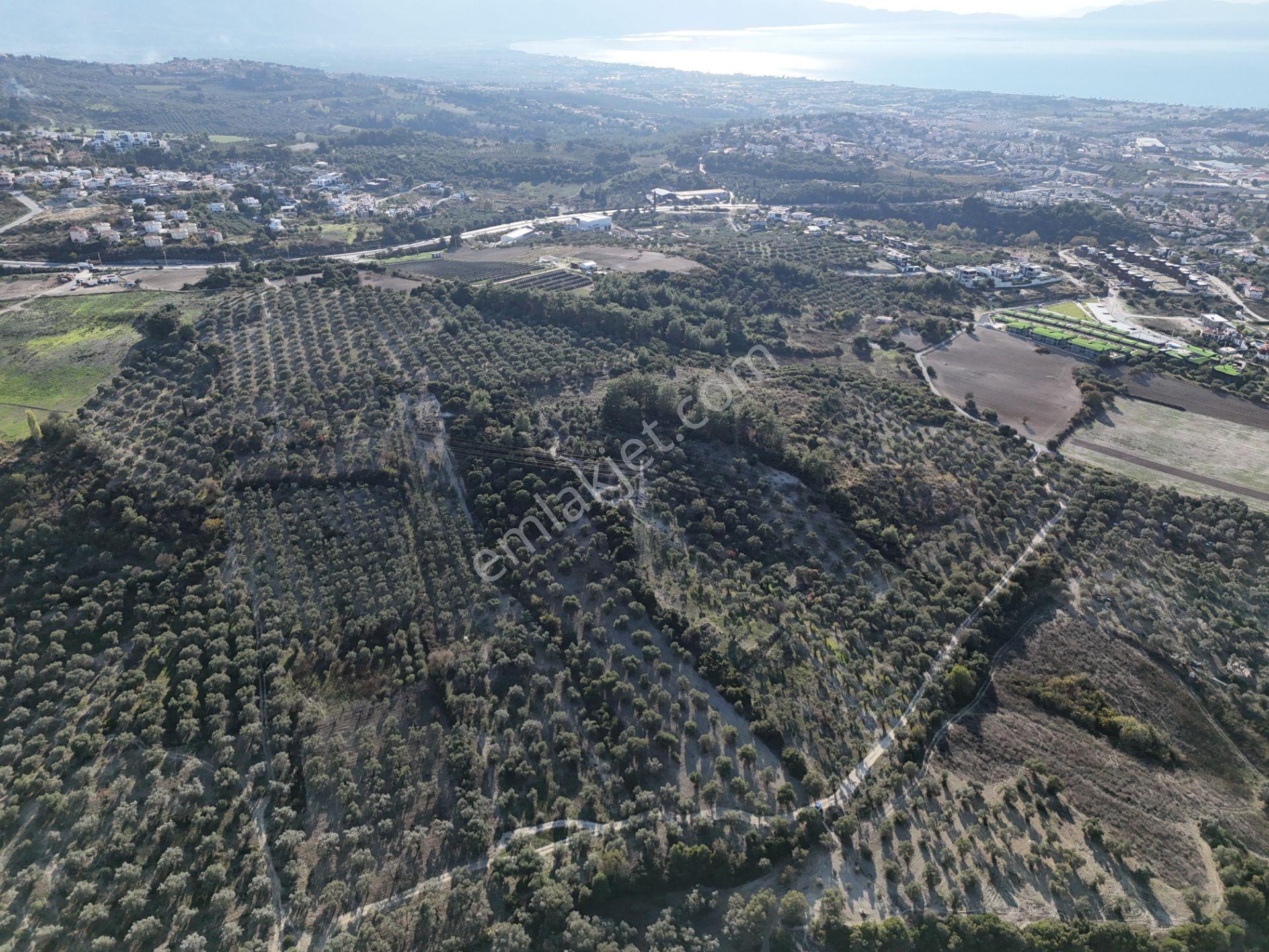 Kuşadası,kırazlı Mahallesı'nde,merkeze Yakın Tarla - Görsel 13