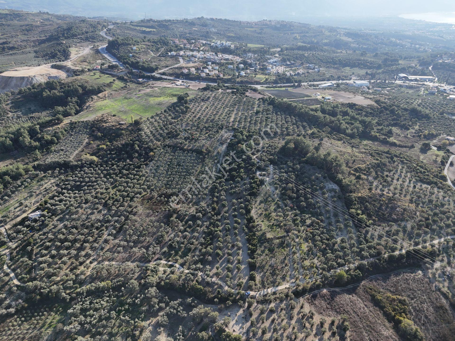 Kuşadası,kırazlı Mahallesı'nde,merkeze Yakın Tarla - Görsel 12