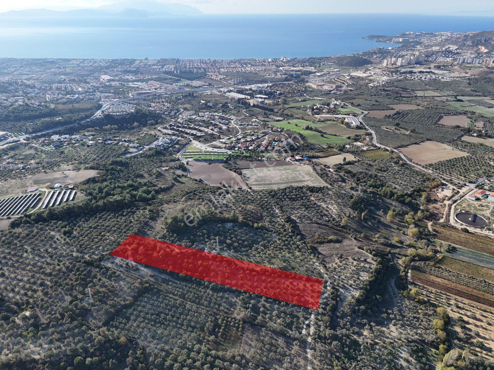 Kuşadası,kırazlı Mahallesı'nde,merkeze Yakın Tarla - Görsel 8