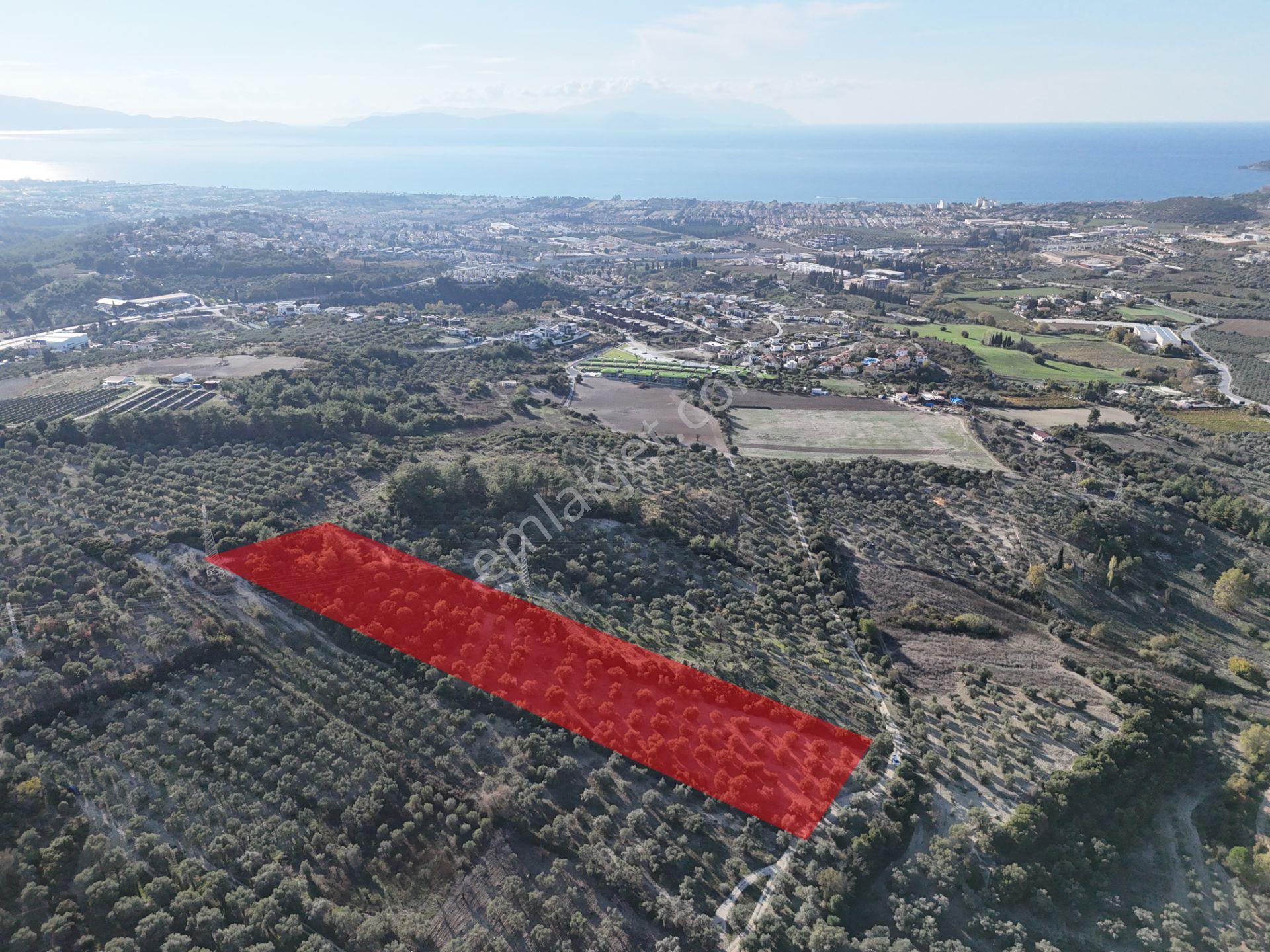 Kuşadası,kırazlı Mahallesı'nde,merkeze Yakın Tarla - Görsel 5