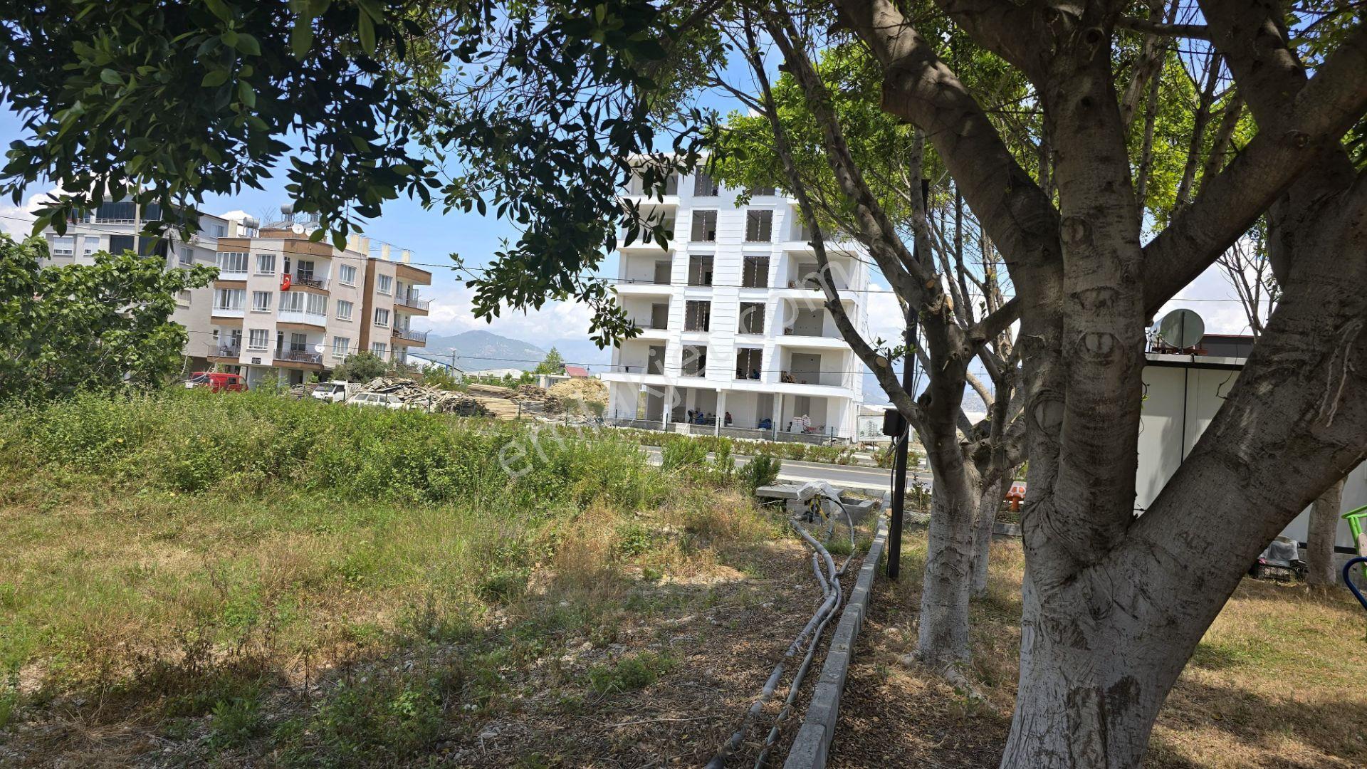 Mersin Anamur İskele Yolu Üzeri Satılık Parsel - Görsel 3