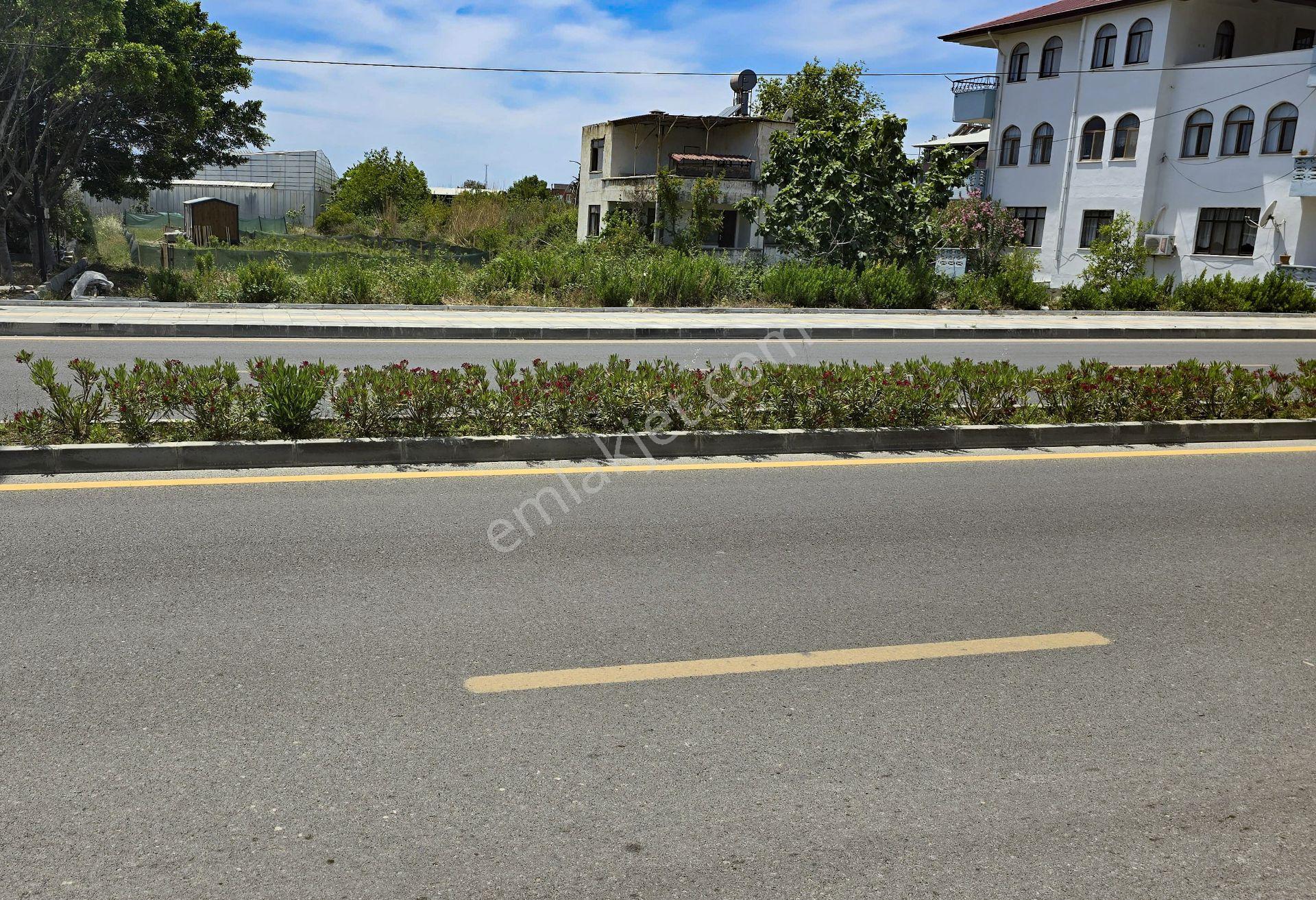 Mersin Anamur İskele Yolu Üzeri Satılık Parsel - Görsel 6
