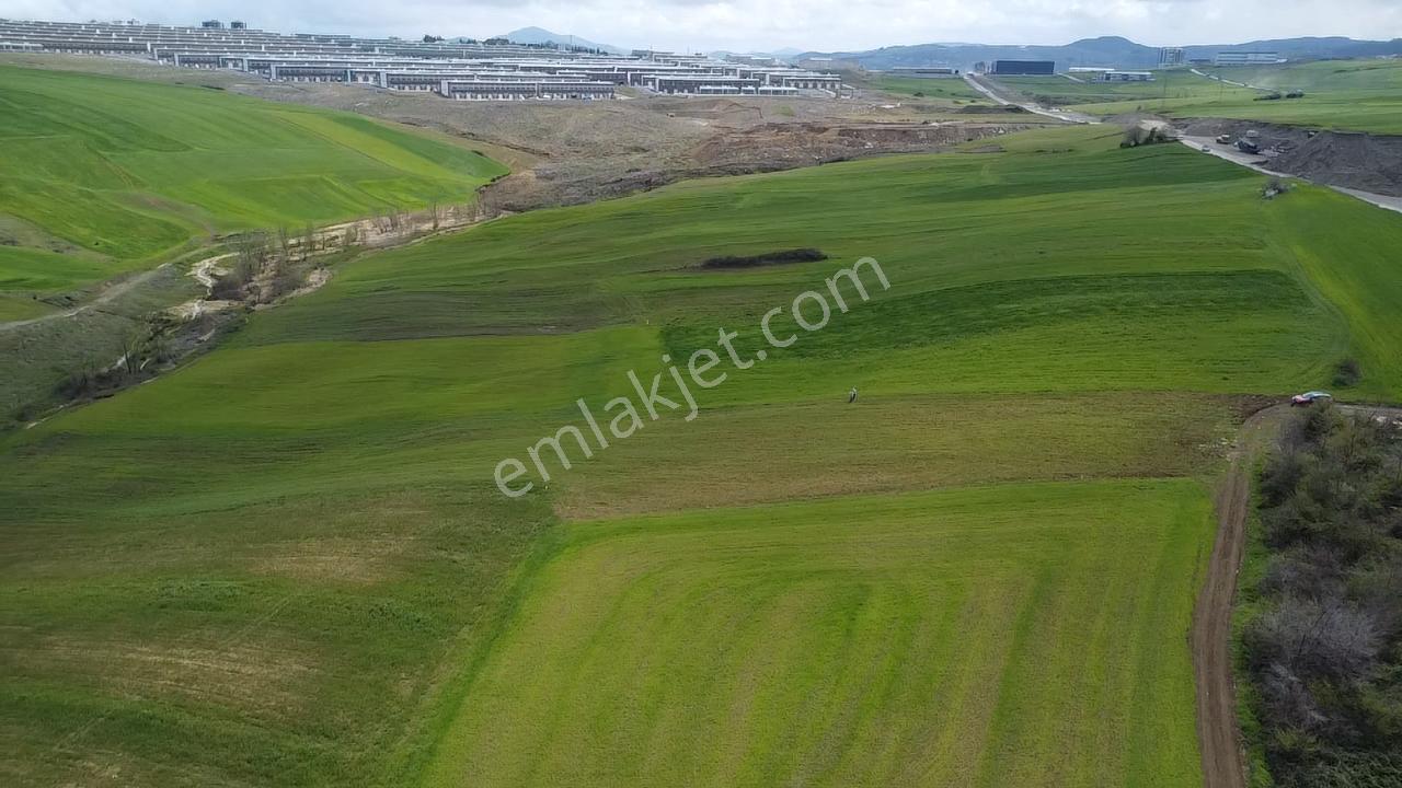 Can Emlak'tan Satılık Ticari Depolama Alanlı Arsa - Görsel 6