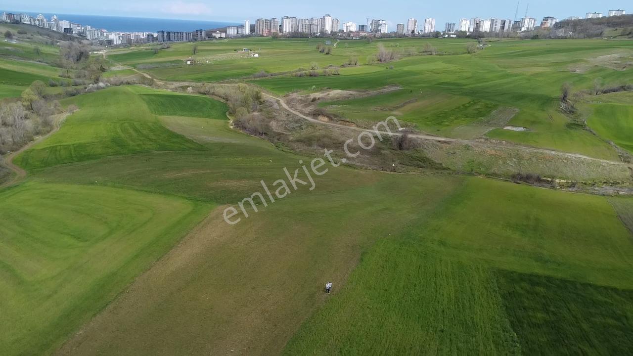 Can Emlak'tan Satılık Ticari Depolama Alanlı Arsa - Görsel 3