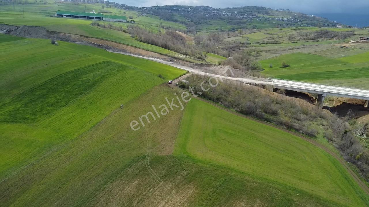 Can Emlak'tan Satılık Ticari Depolama Alanlı Arsa - Görsel 8
