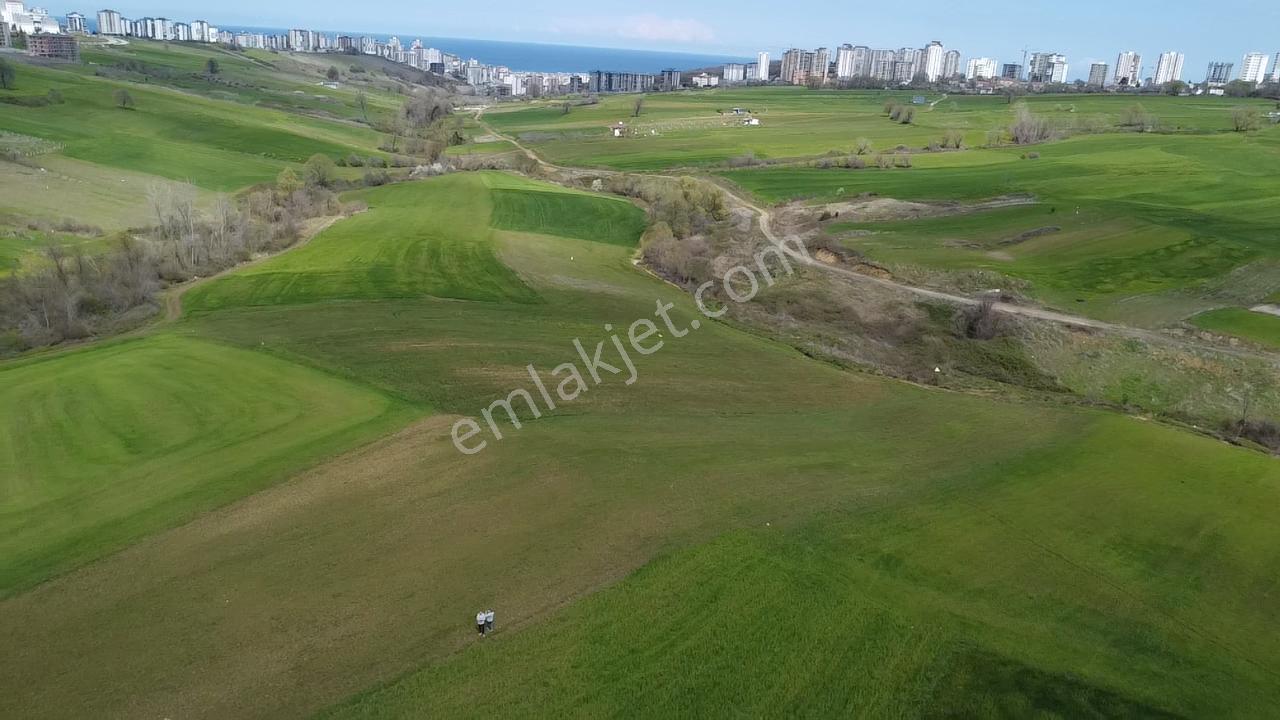 Can Emlak'tan Satılık Ticari Depolama Alanlı Arsa - Görsel 2