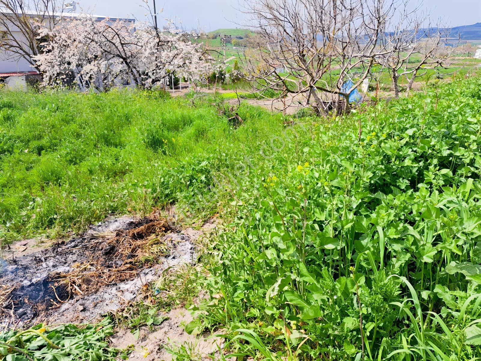 Nilüfer Büyükbalıklı Mah Satılık Villa İmarlı 715 M2 Fırsat Arsa - Görsel 7