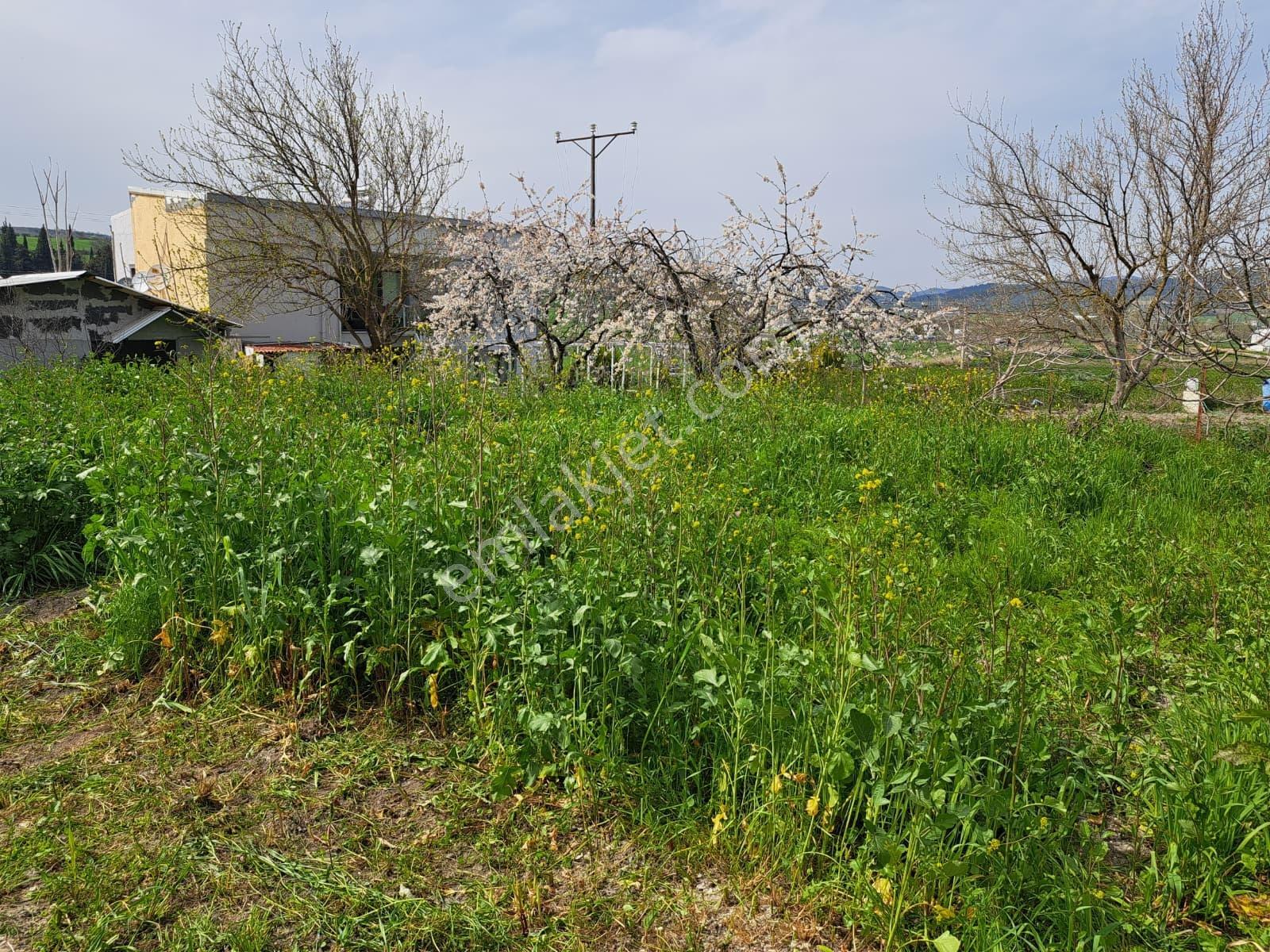 Nilüfer Büyükbalıklı Mah Satılık Villa İmarlı 715 M2 Fırsat Arsa - Görsel 6