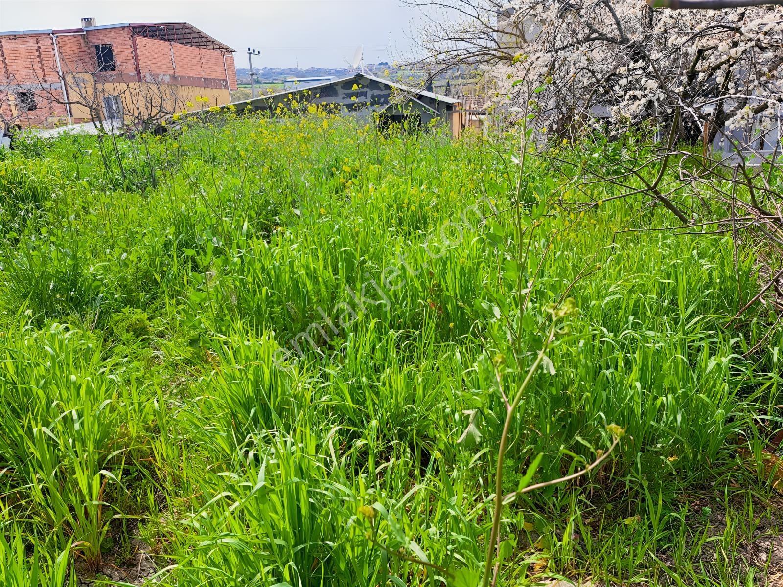 Nilüfer Büyükbalıklı Mah Satılık Villa İmarlı 715 M2 Fırsat Arsa - Görsel 5