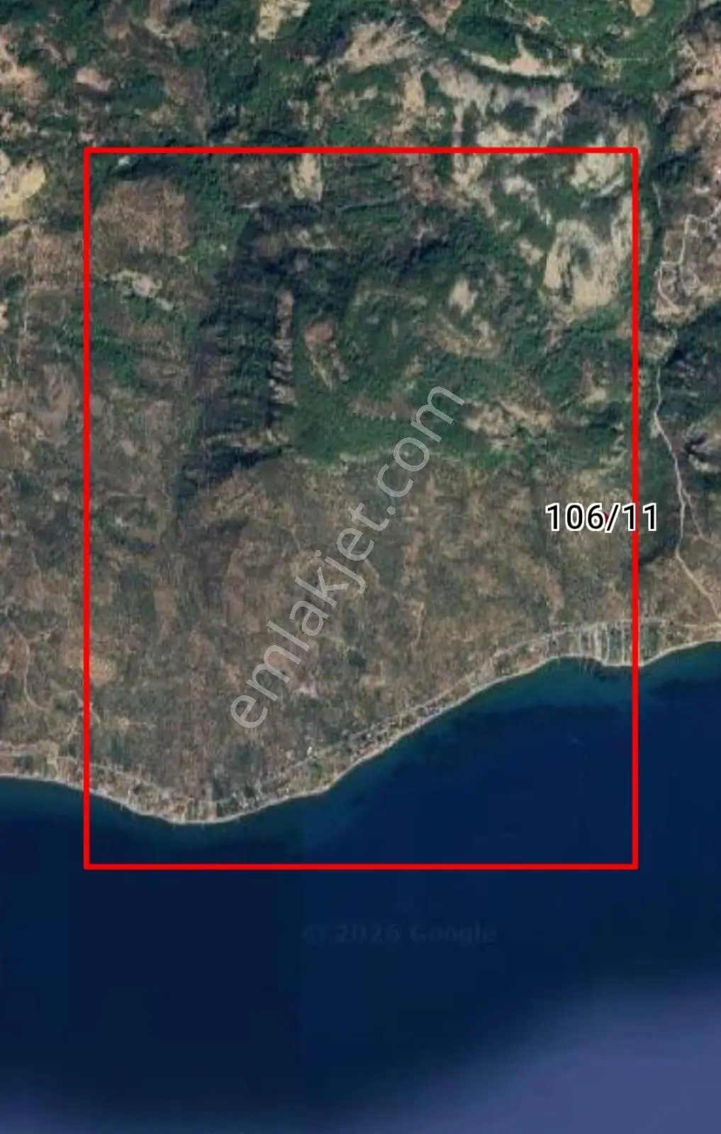 Kerim'den Arıklı'da Yatırımlık Zeytinlik Denize 550 Mt