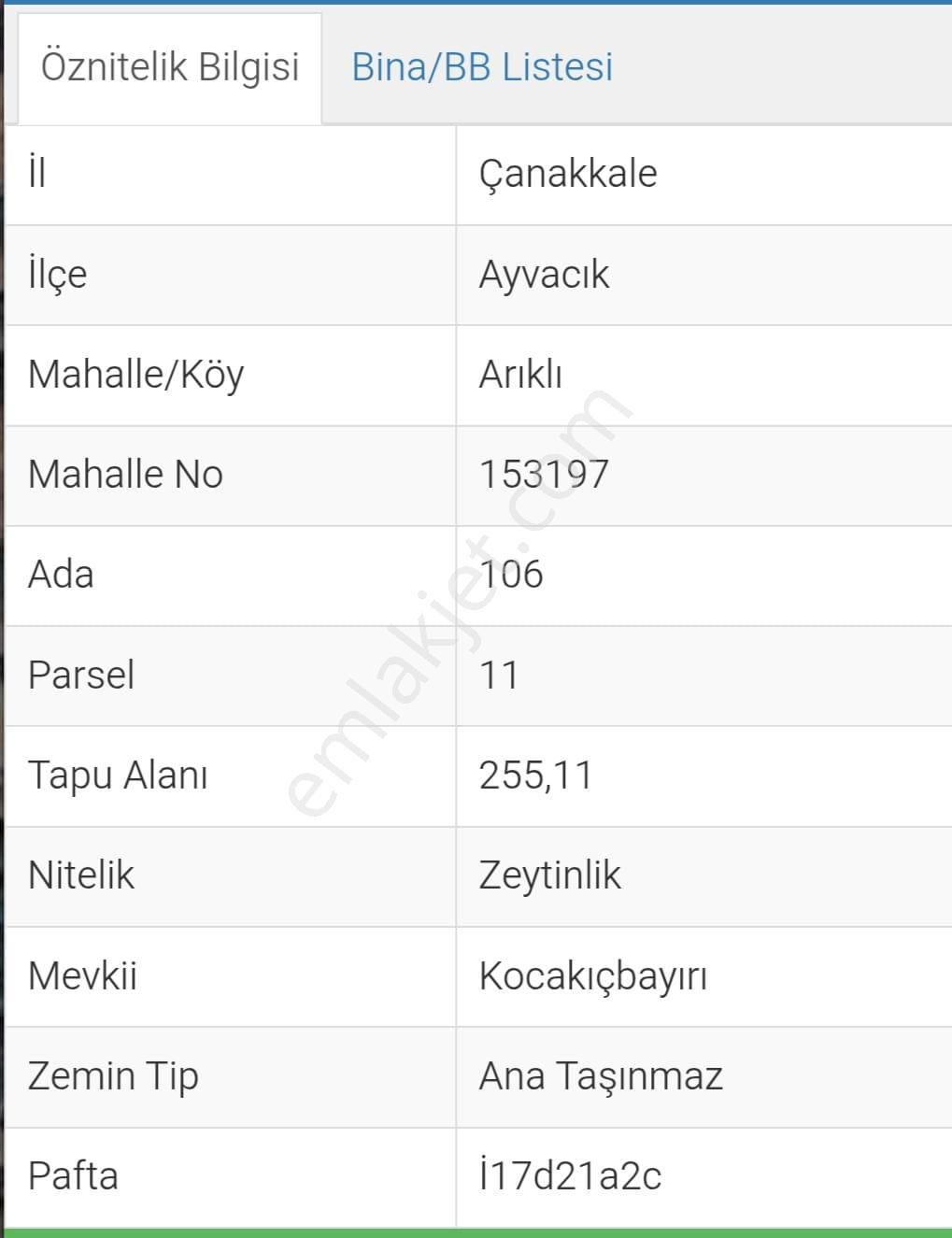 Kerim'den Arıklı'da Yatırımlık Zeytinlik Denize 550 Mt - Görsel 6