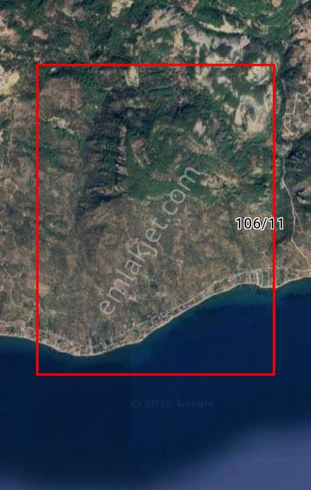 Kerim'den Arıklı'da Yatırımlık Zeytinlik Denize 550 Mt - Görsel 28
