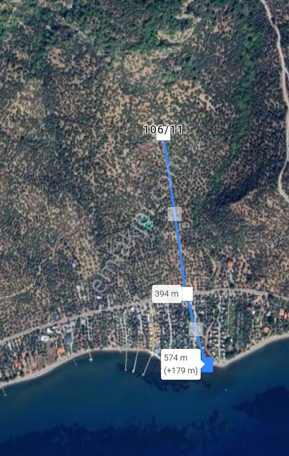 Kerim'den Arıklı'da Yatırımlık Zeytinlik Denize 550 Mt - Görsel 14