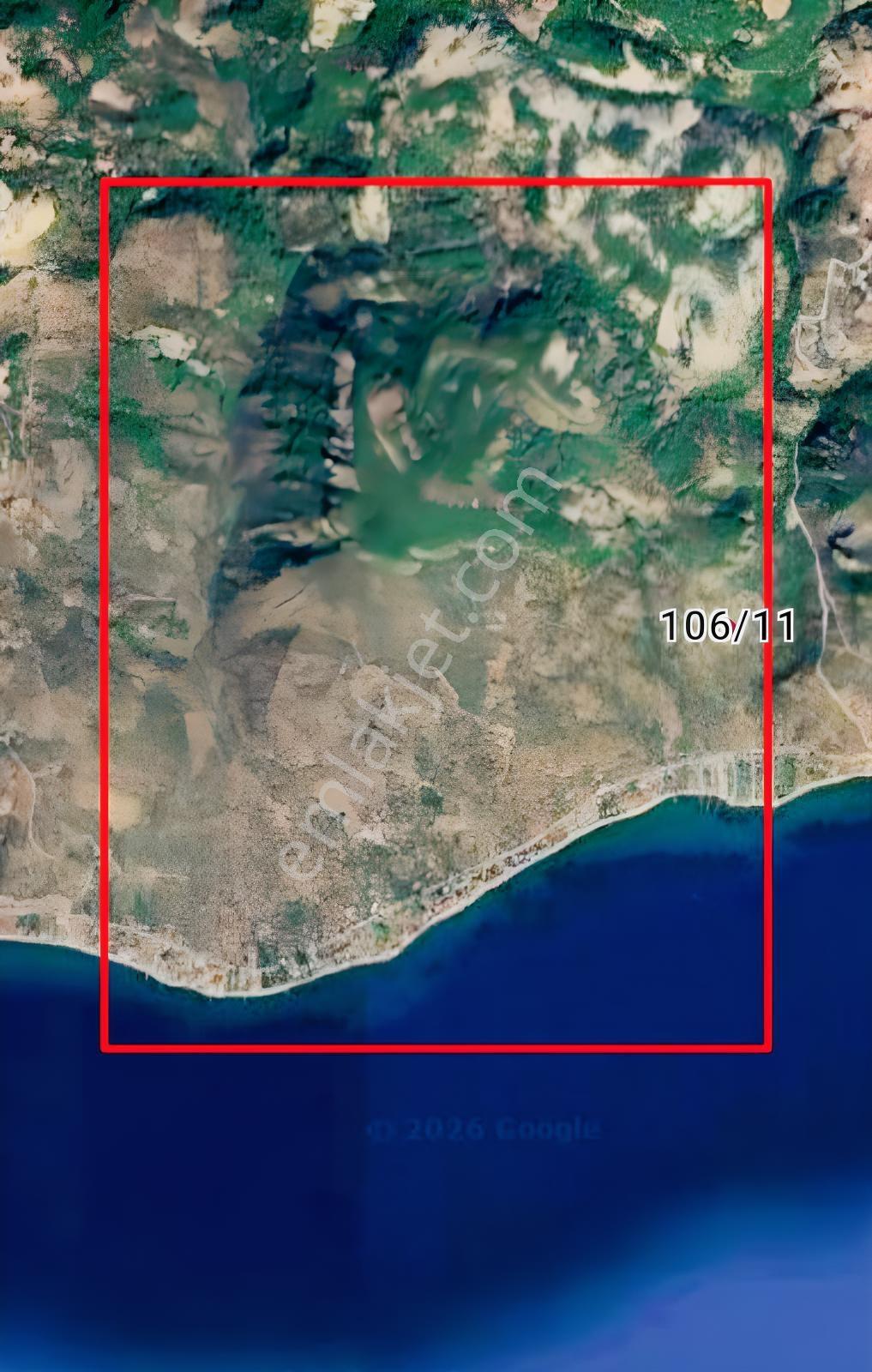 Kerim'den Arıklı'da Yatırımlık Zeytinlik Denize 550 Mt - Görsel 2