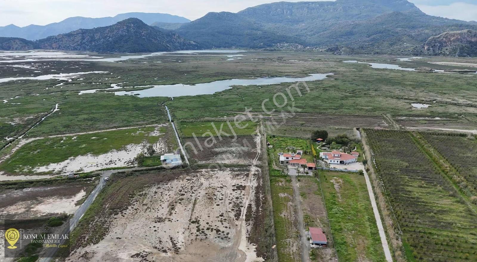 Muğla Ortaca Dalyan Satılık 2.000 M2 Tarla - Görsel 8