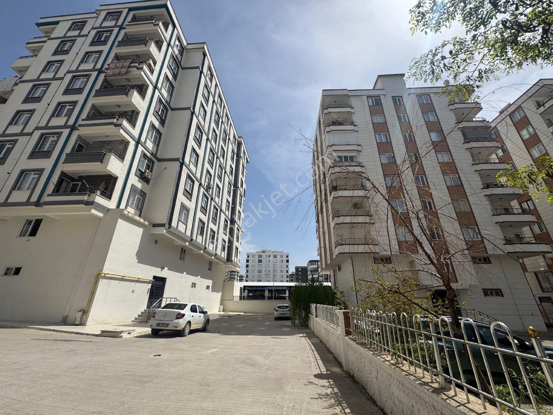 Doğu Emlaktan Kiralık - Görsel 3
