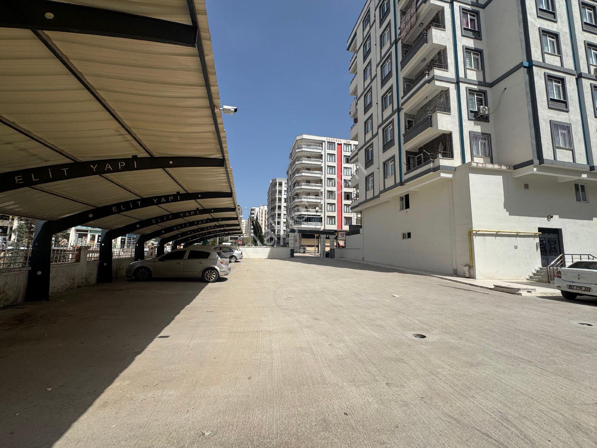 Doğu Emlaktan Kiralık - Görsel 4