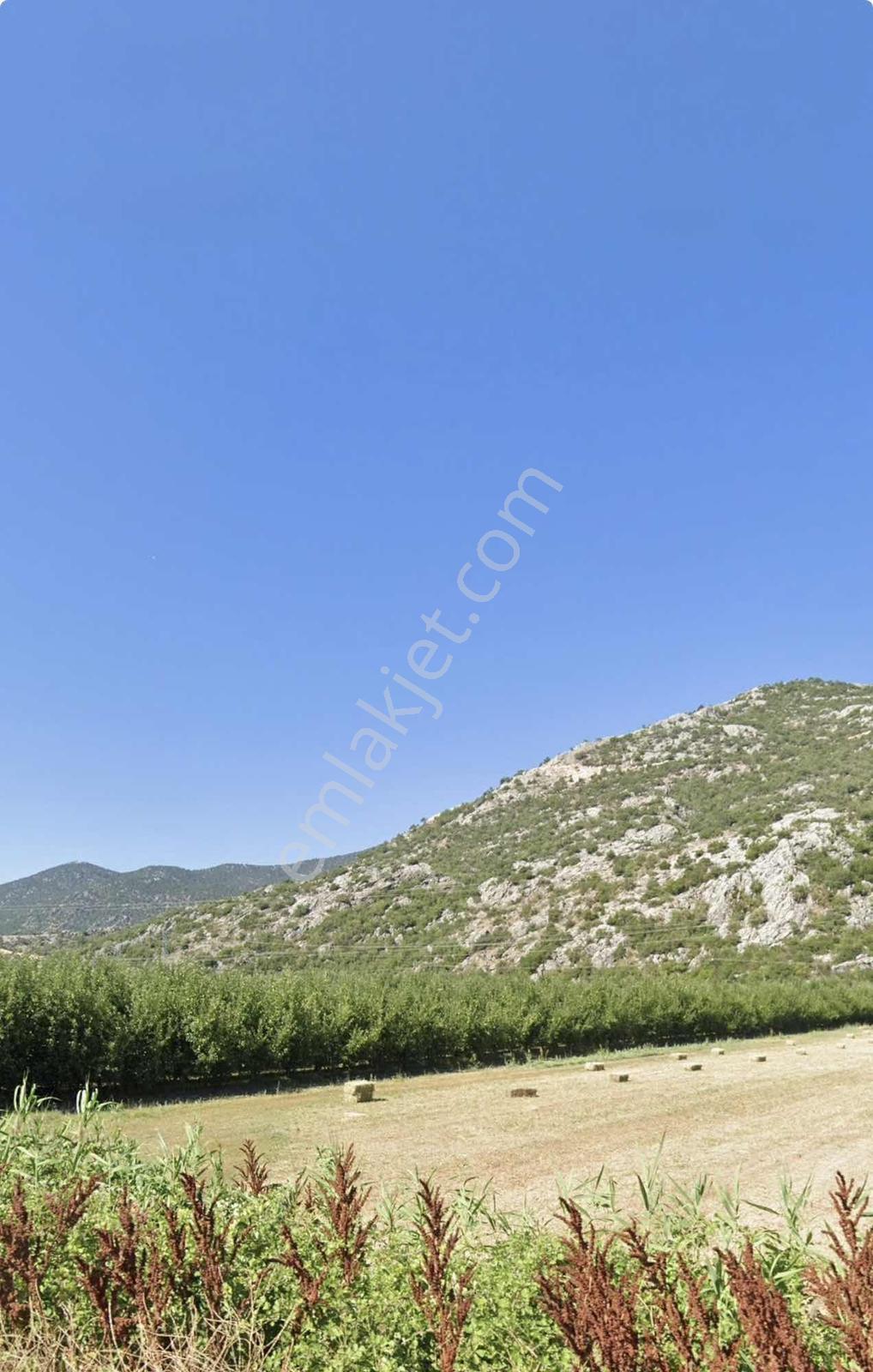 Isparta Eğirdir Balkırıda 6.848 M2 Elma Bahçesi - Görsel 2