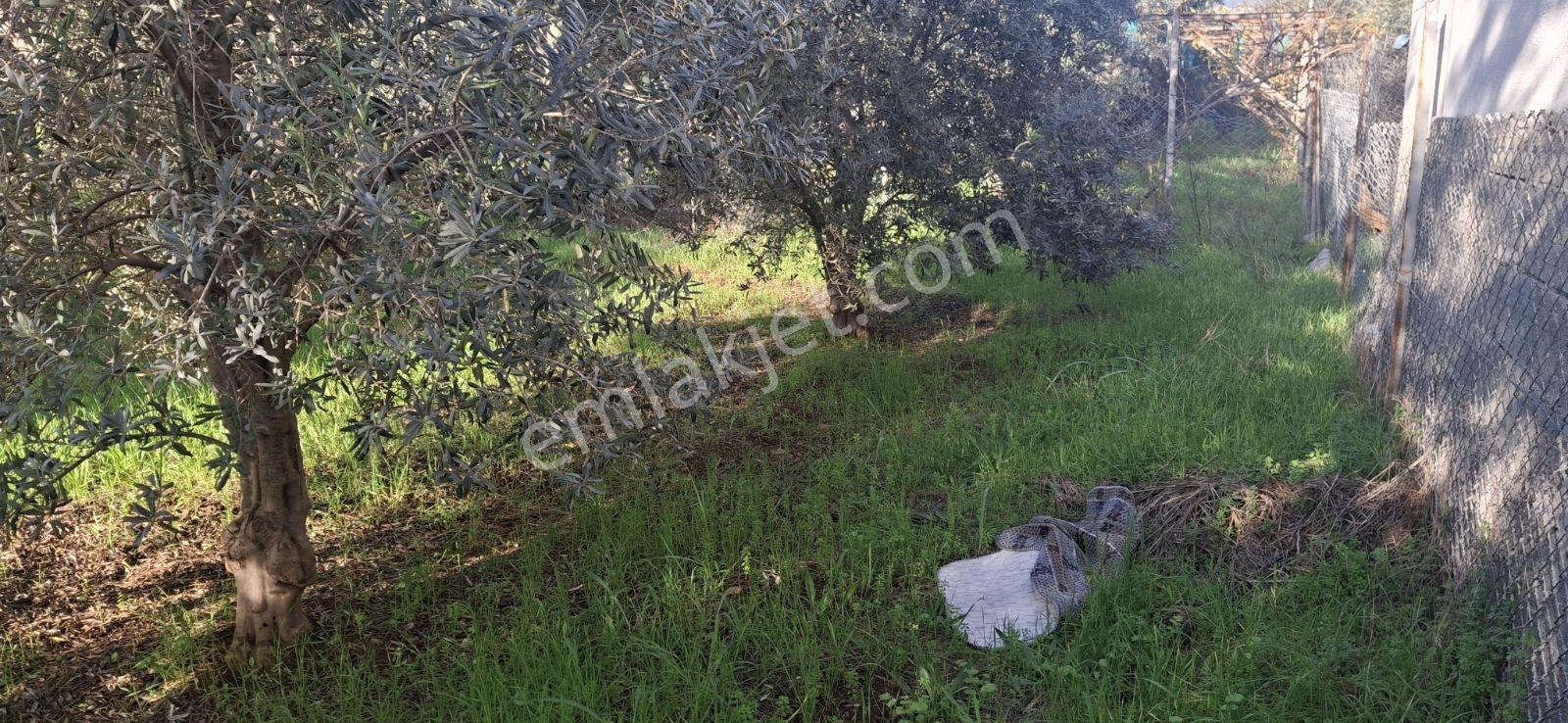 Fethiye Karaçulha Mah. İlkon'dan Satılık Arazi - Görsel 25