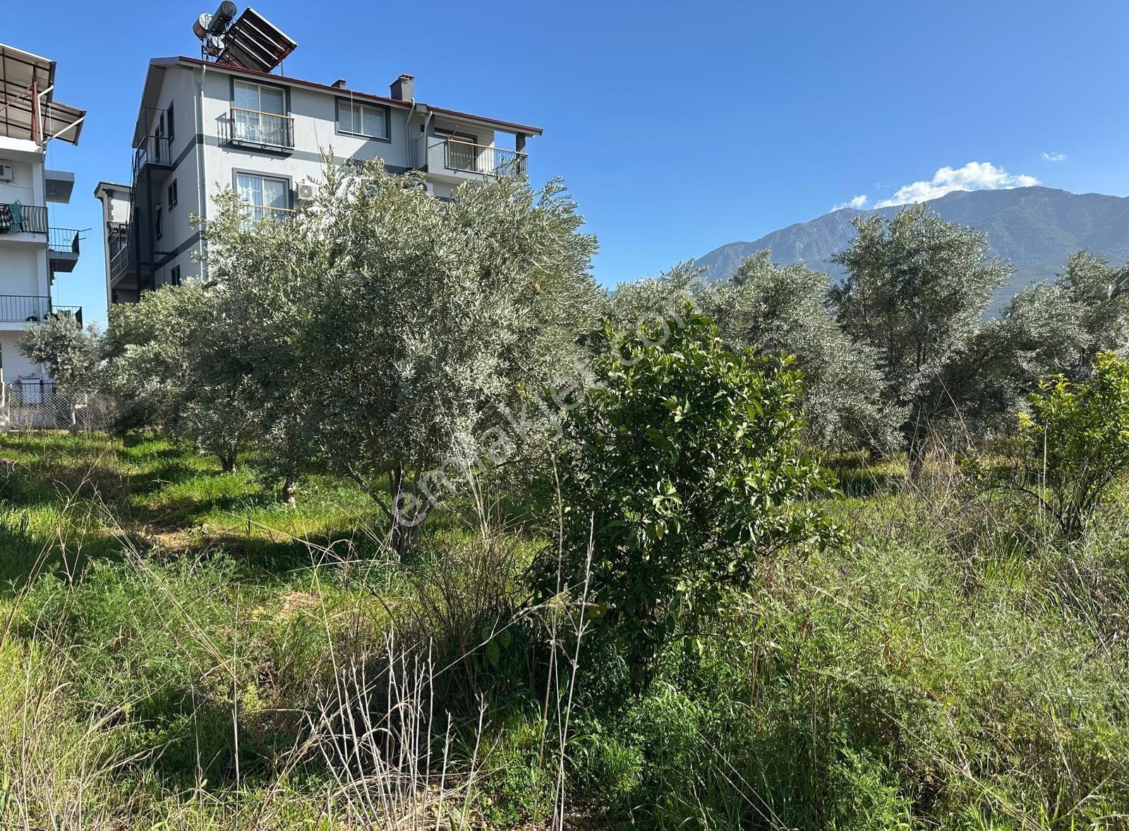 Fethiye Karaçulha Mah. İlkon'dan Satılık Arazi - Görsel 13