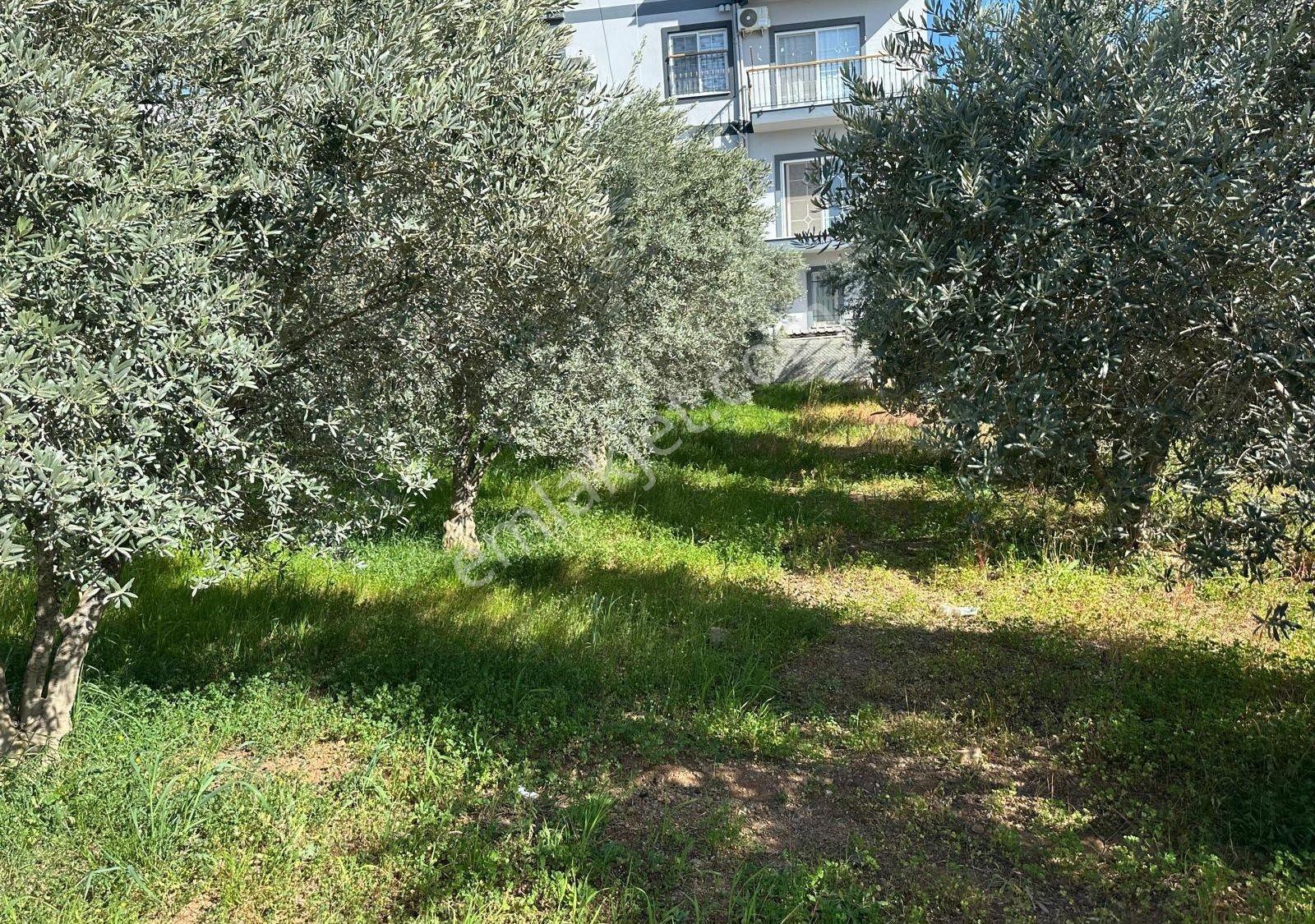 Fethiye Karaçulha Mah. İlkon'dan Satılık Arazi - Görsel 32
