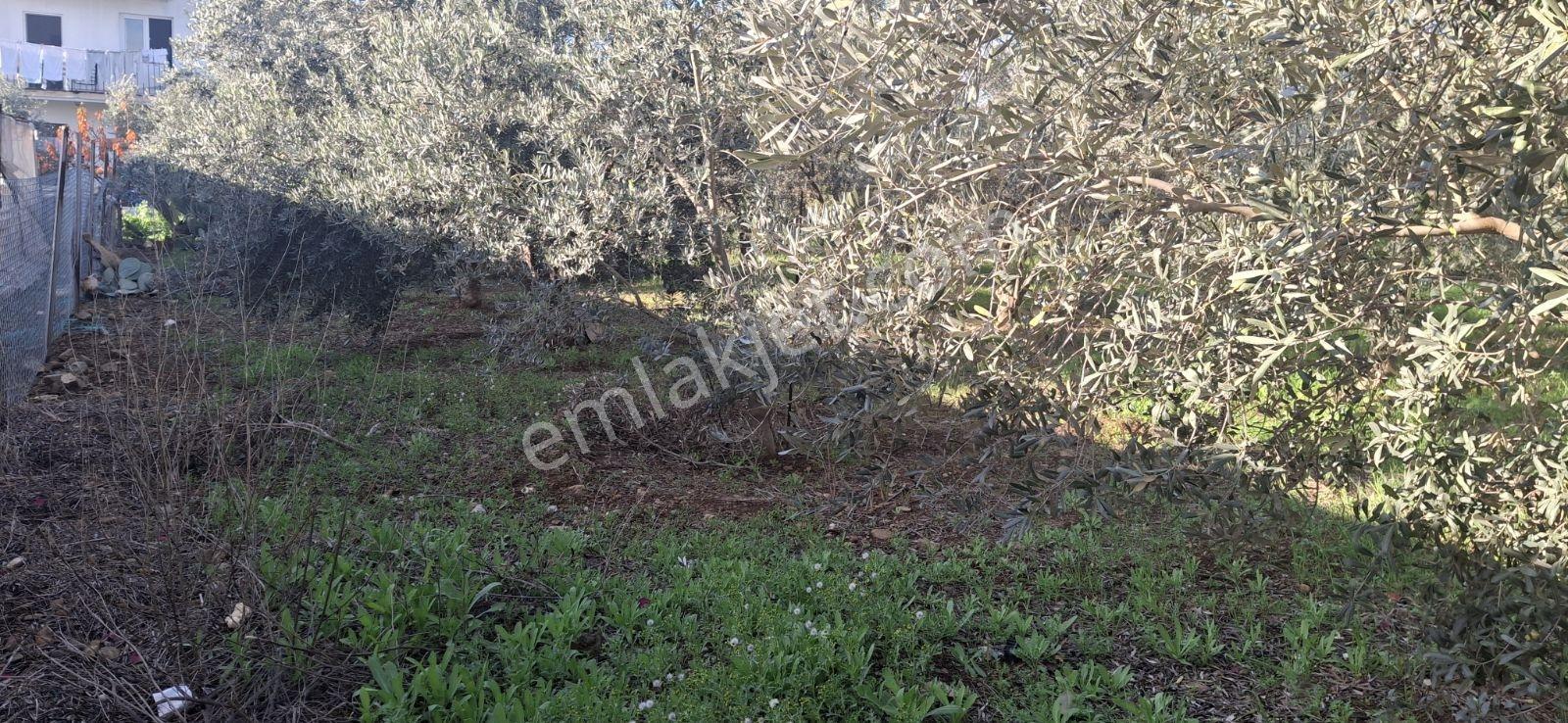 Fethiye Karaçulha Mah. İlkon'dan Satılık Arazi - Görsel 24