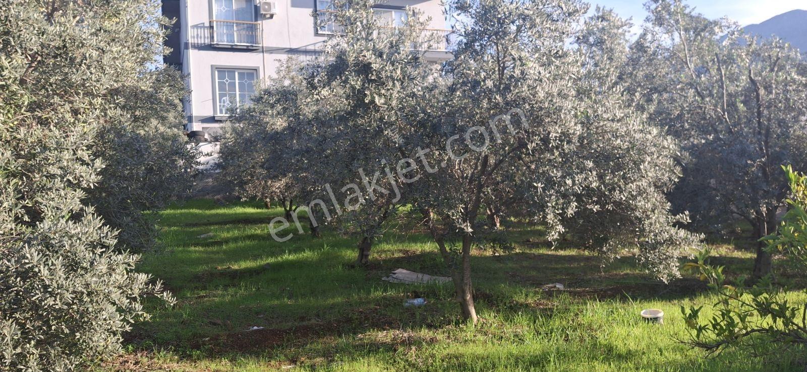 Fethiye Karaçulha Mah. İlkon'dan Satılık Arazi - Görsel 27