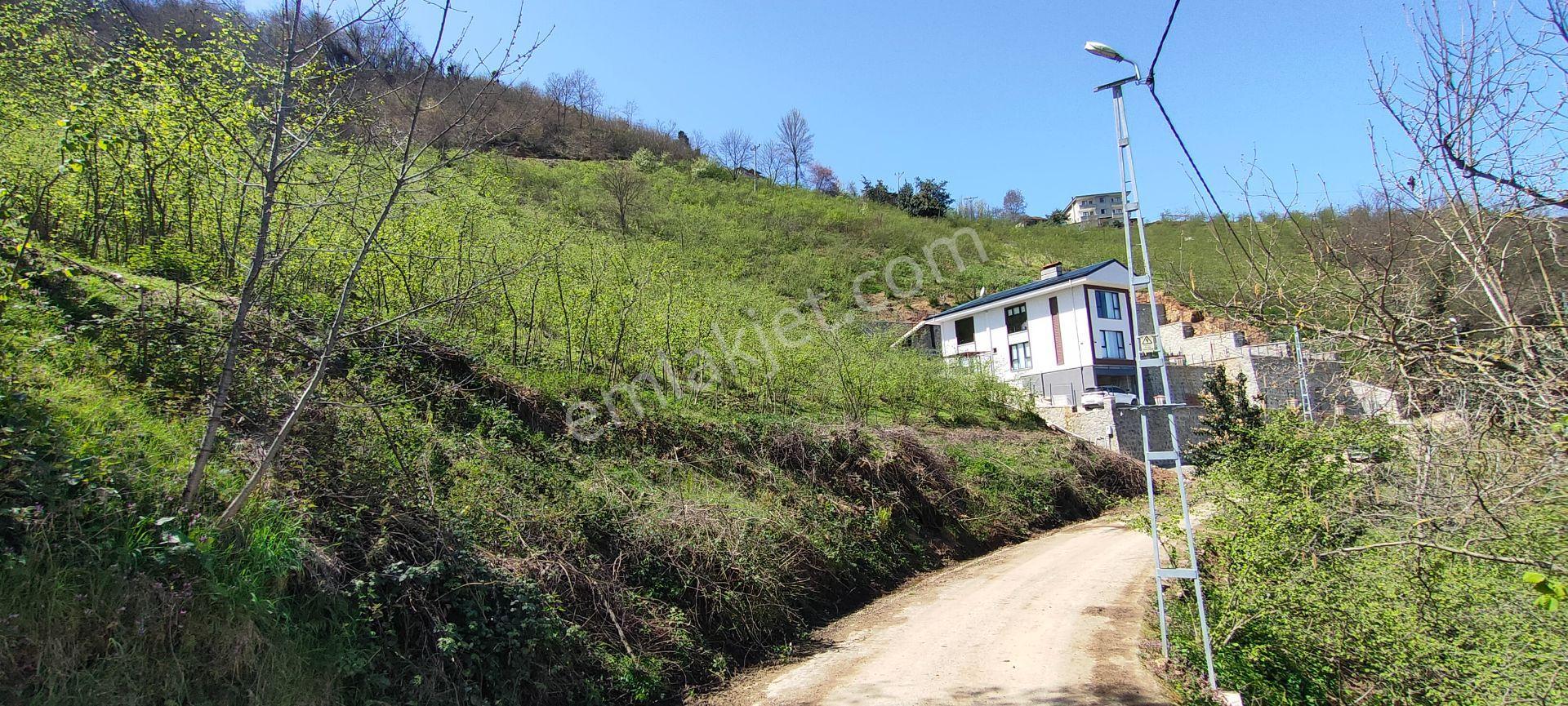 Ortahisar Gündoğdu Mah.de Satılık Süper Manzaralı Fındıklık Arazi - Görsel 4