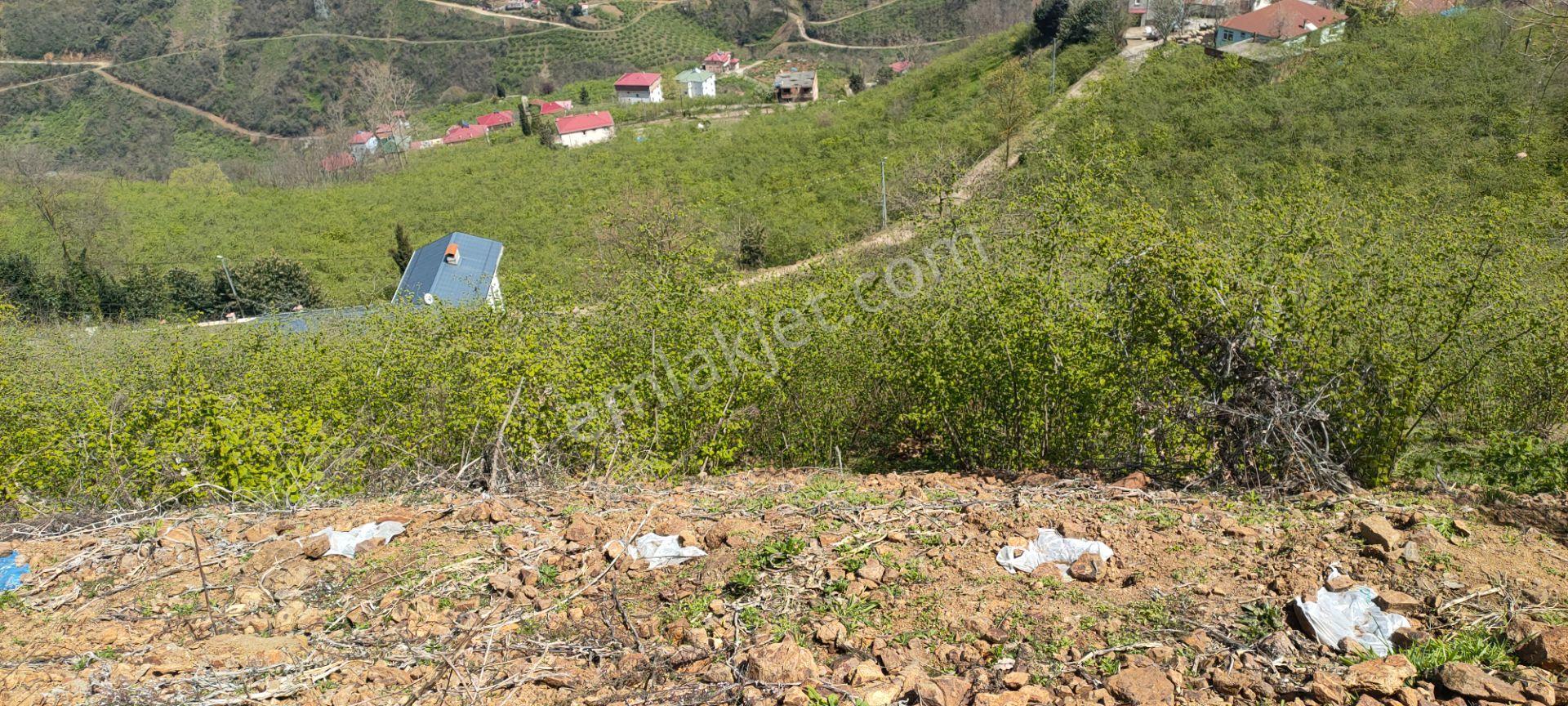 Ortahisar Gündoğdu Mah.de Satılık Süper Manzaralı Fındıklık Arazi - Görsel 21