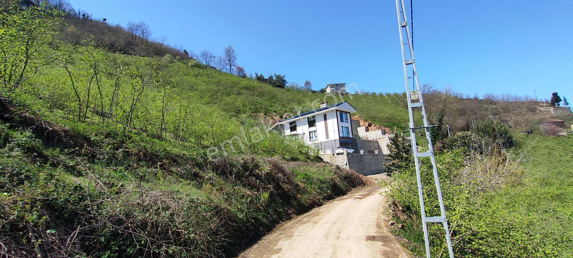 Ortahisar Gündoğdu Mah.de Satılık Süper Manzaralı Fındıklık Arazi - Görsel 7