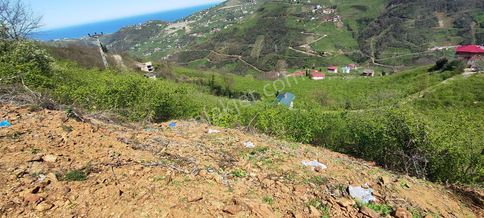 Ortahisar Gündoğdu Mah.de Satılık Süper Manzaralı Fındıklık Arazi - Görsel 29