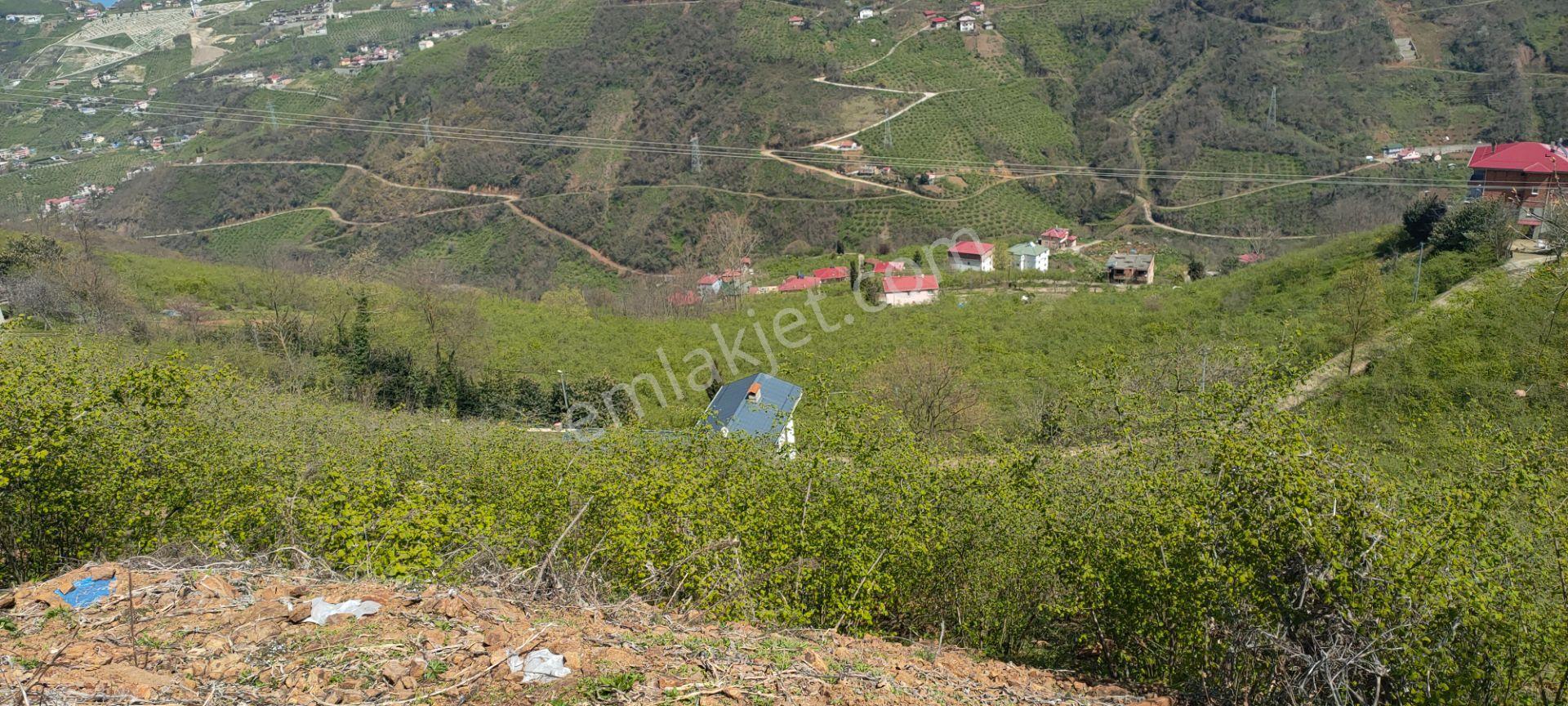 Ortahisar Gündoğdu Mah.de Satılık Süper Manzaralı Fındıklık Arazi - Görsel 24