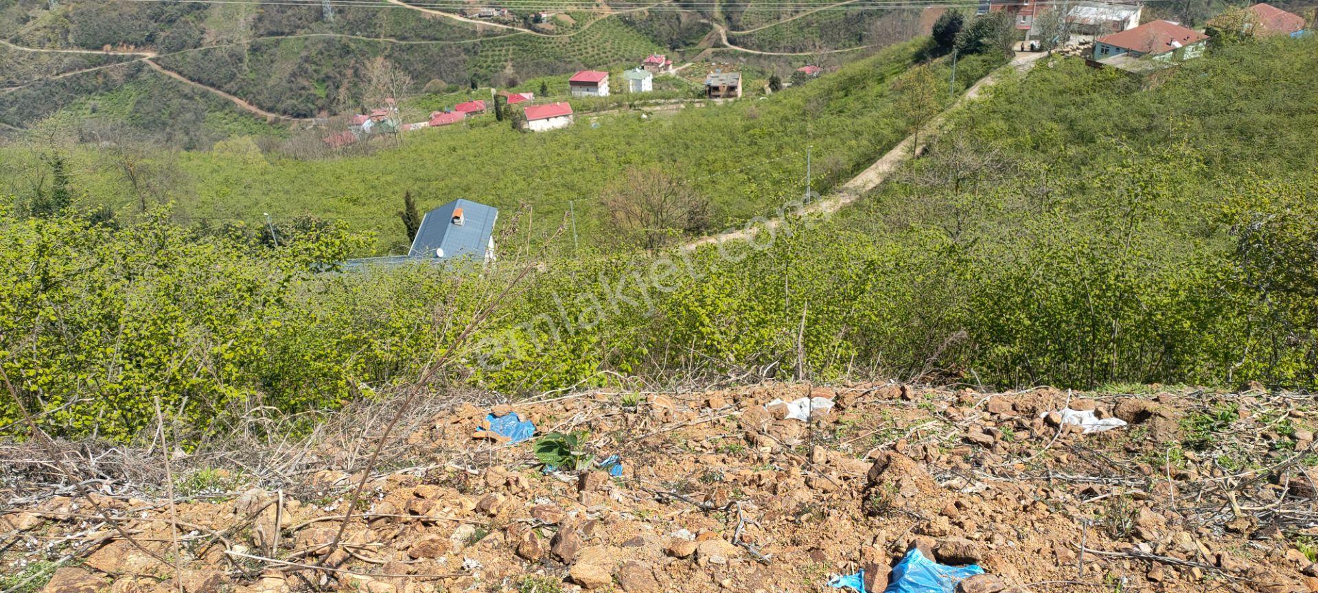 Ortahisar Gündoğdu Mah.de Satılık Süper Manzaralı Fındıklık Arazi - Görsel 12